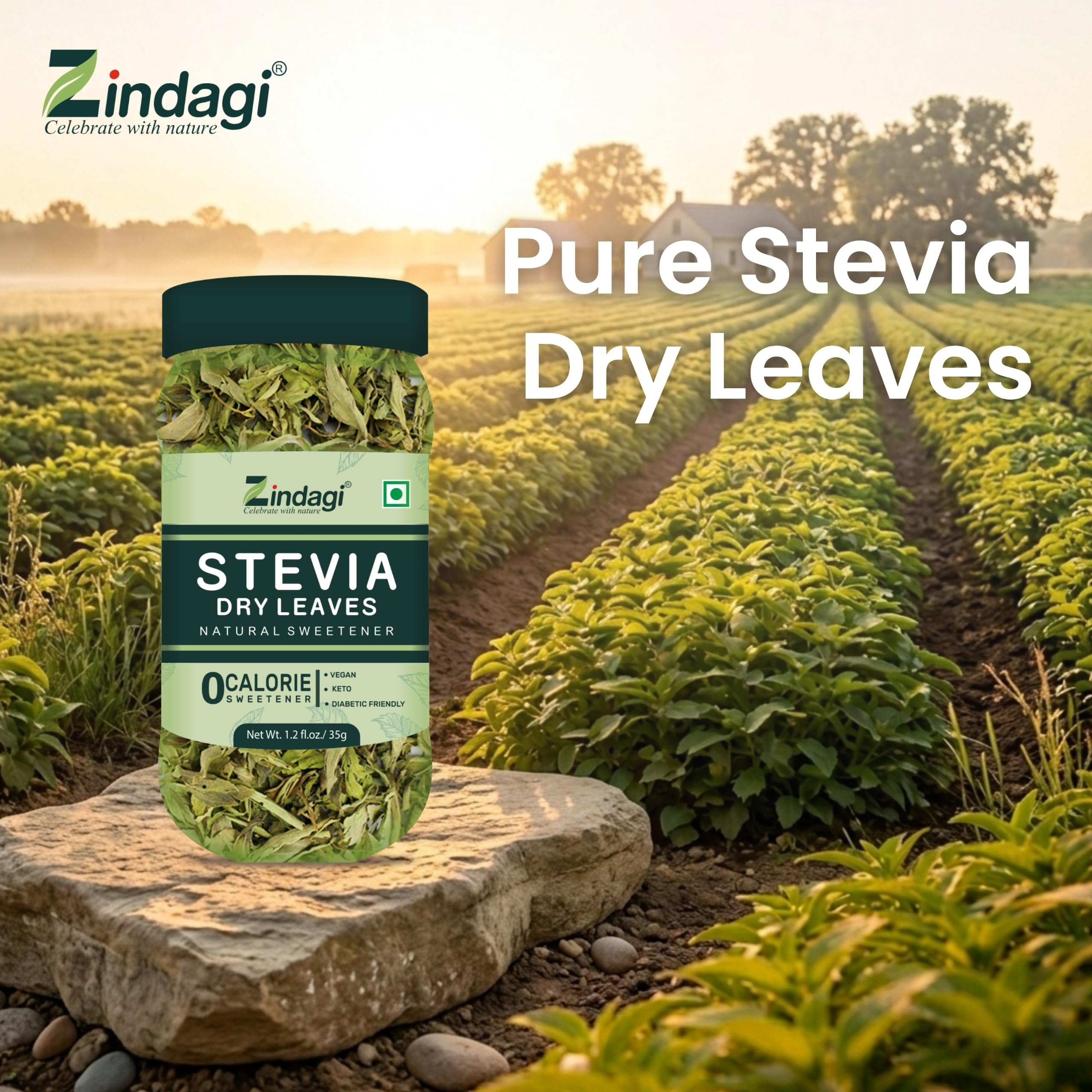 Zindagi Stevia Leaves | Stevia Plant Dry Leaves | Natural Sugar Free | 175GM 4