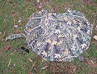 Review Image by Jesse James Jesse James