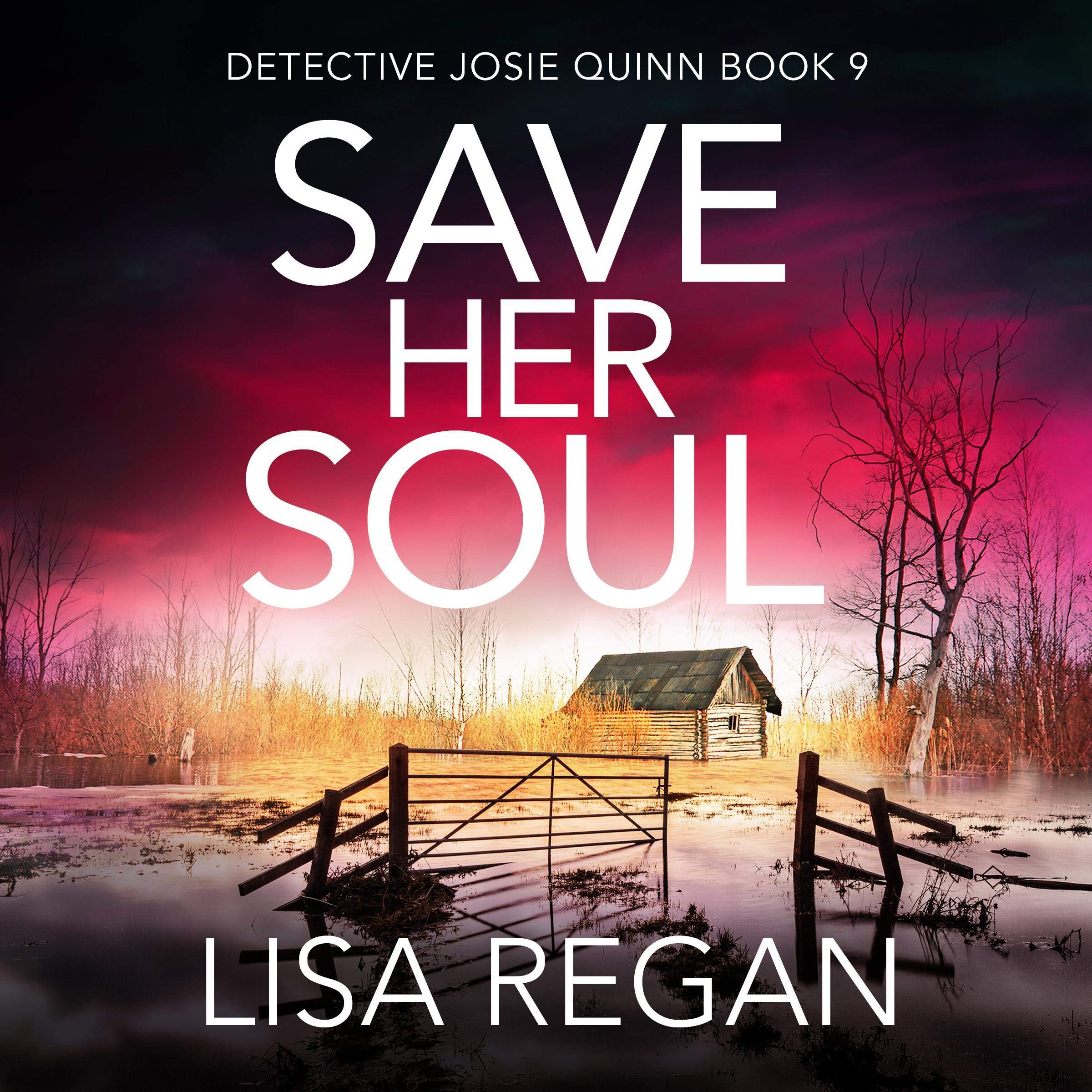 Cover art for Save Her Soul