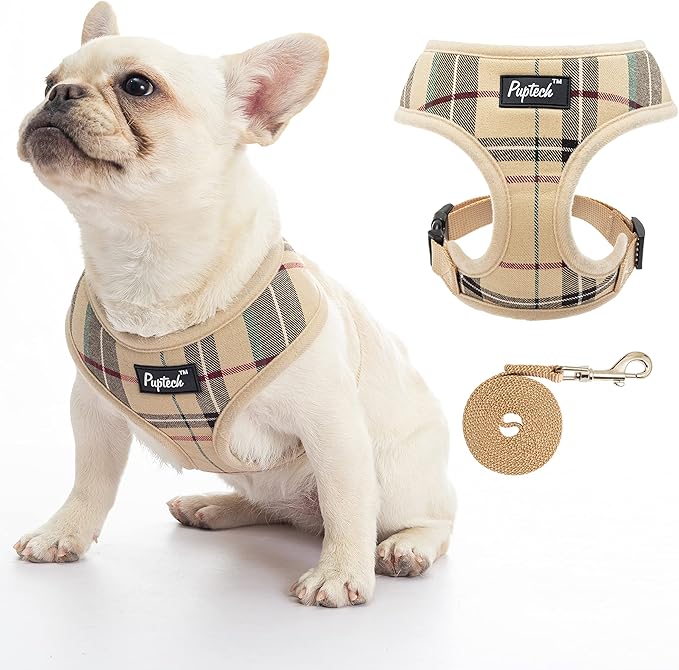 The Best Small Dog Harnesses According to a Veterinarian