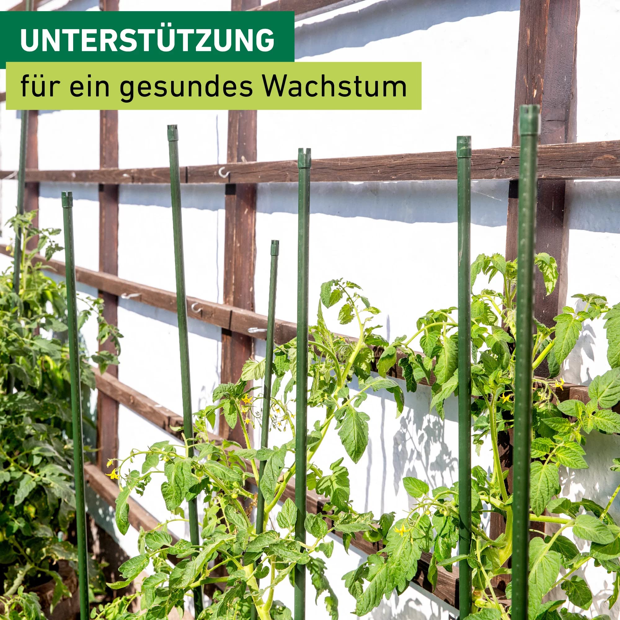 Lot De 10 Tuteurs Pour Plantes 90 Cm - Acier Gainé Plastique Vert, Pointus, Pour Intérieur Et Extérieur