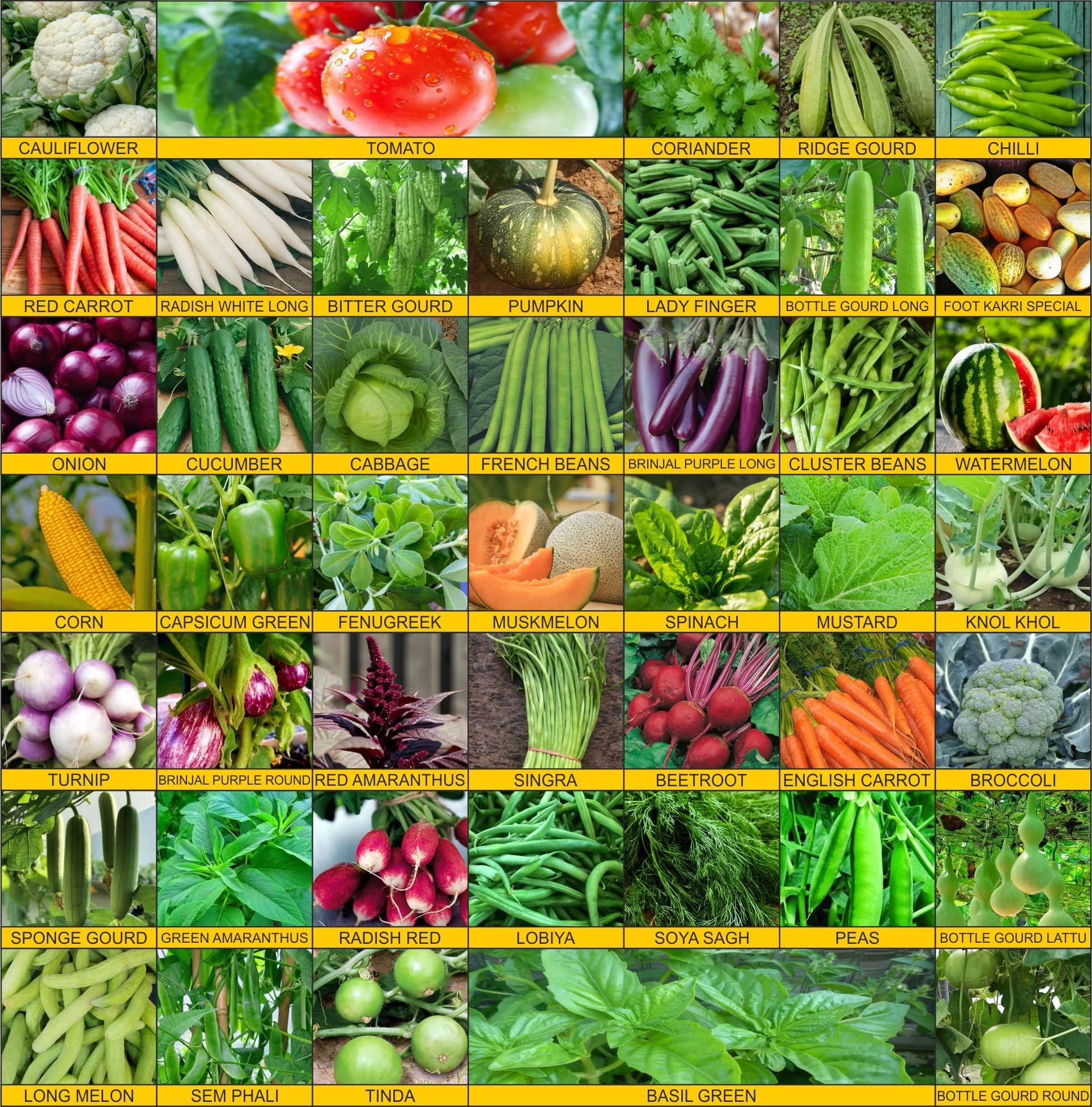 Agrey 45 Varieties of Vegetable Seeds 2665+ High Germination Seeds For Your Garden With Instruction Manual