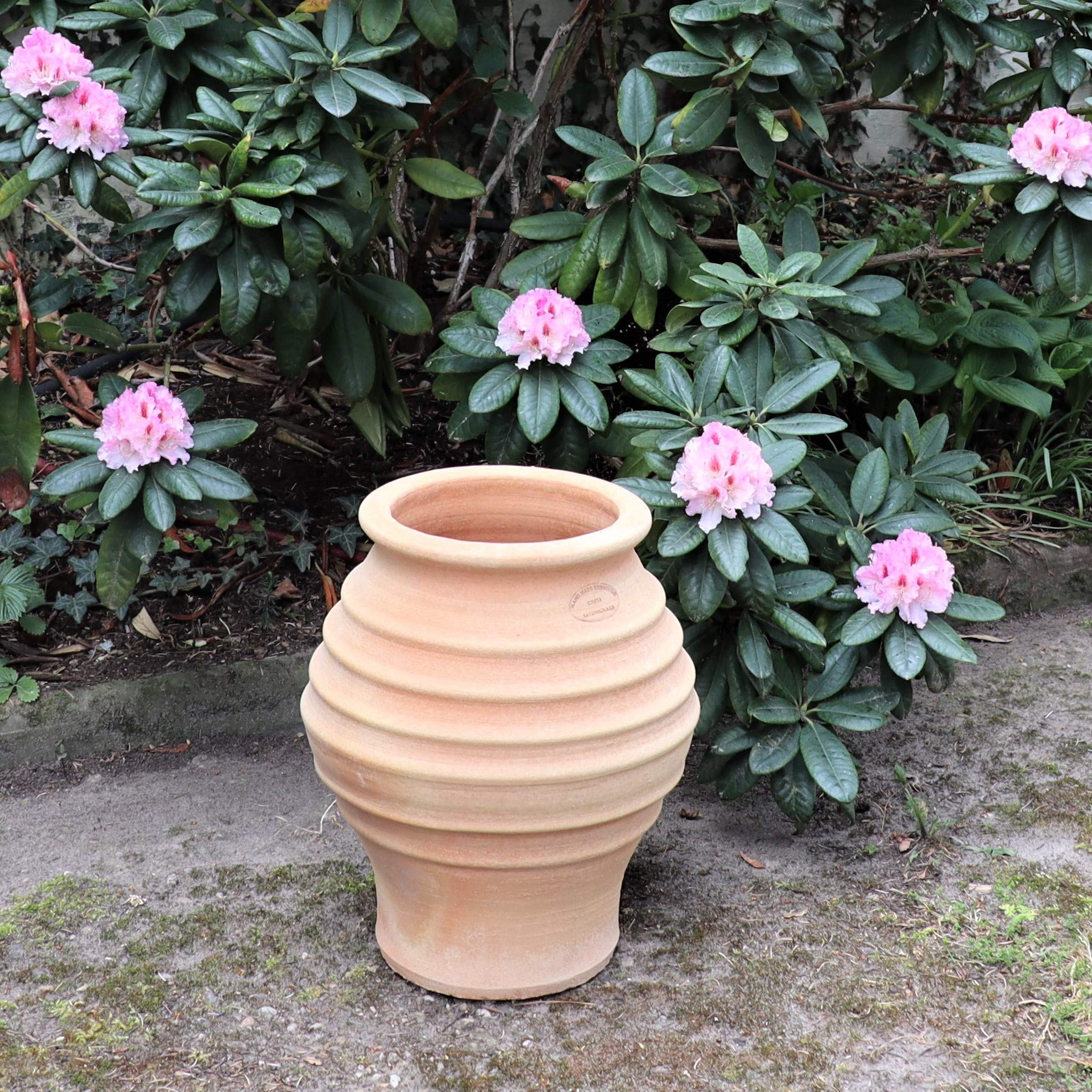 Palatina Werkstatt winterfeste Terracotta Amphore 40cm für Garten und Haus- 100% handgefertigte Unikate, Agave 40 cm