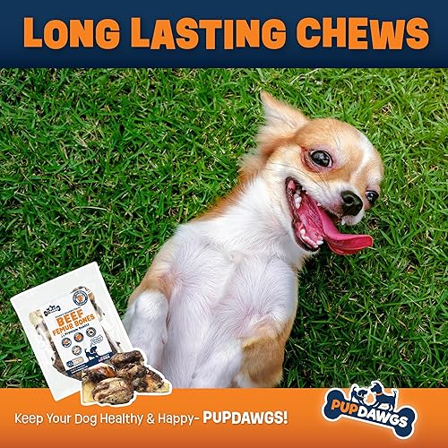 Miniatura 5 de Huesos de perro de un solo ingrediente, fabricados en Estados Unidos, huesos de fémur de carne de res, huesos naturales para masticadores agresivos,