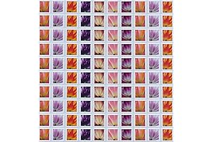 2023 Tulip Blossom Forever First Class Postage Stamps