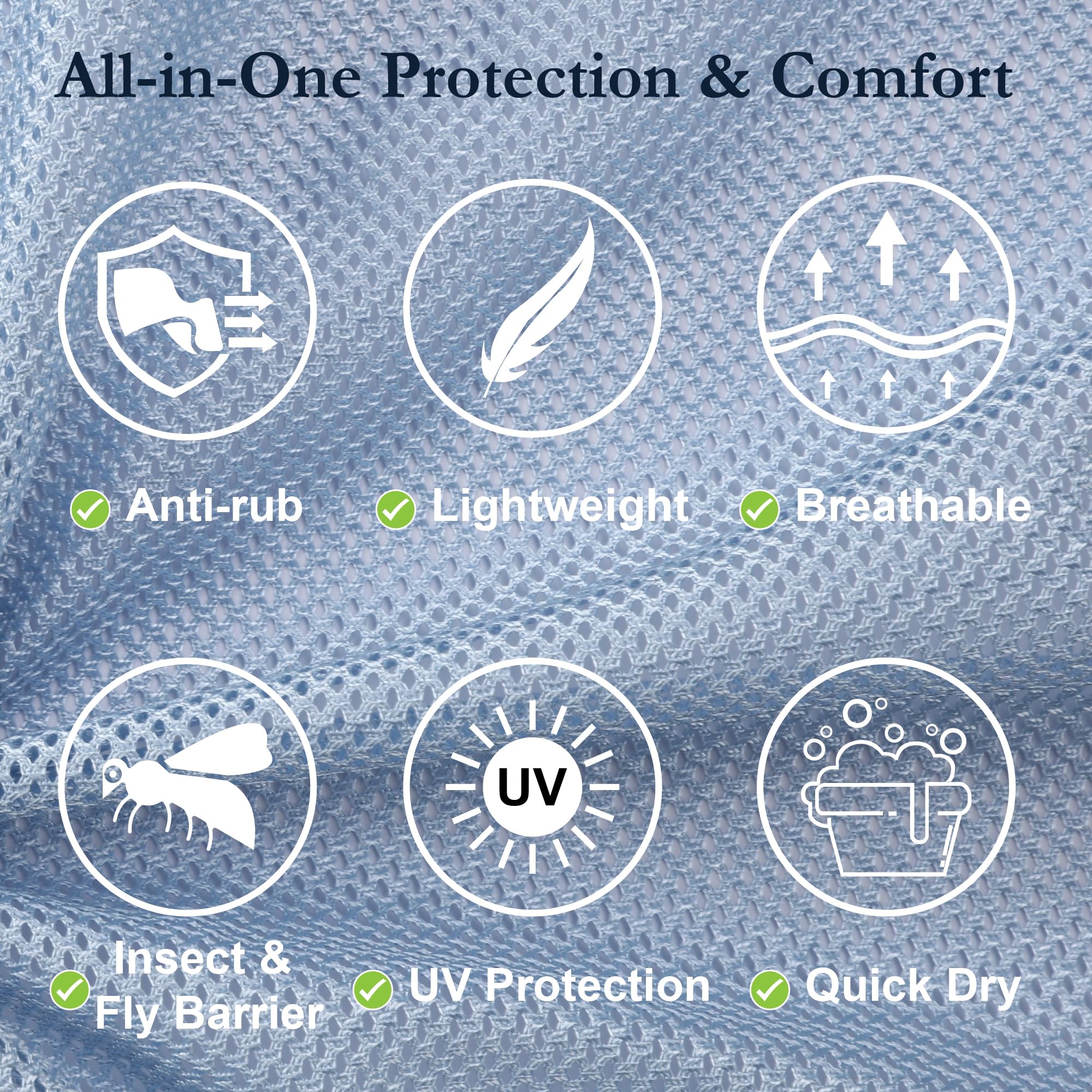 View 6