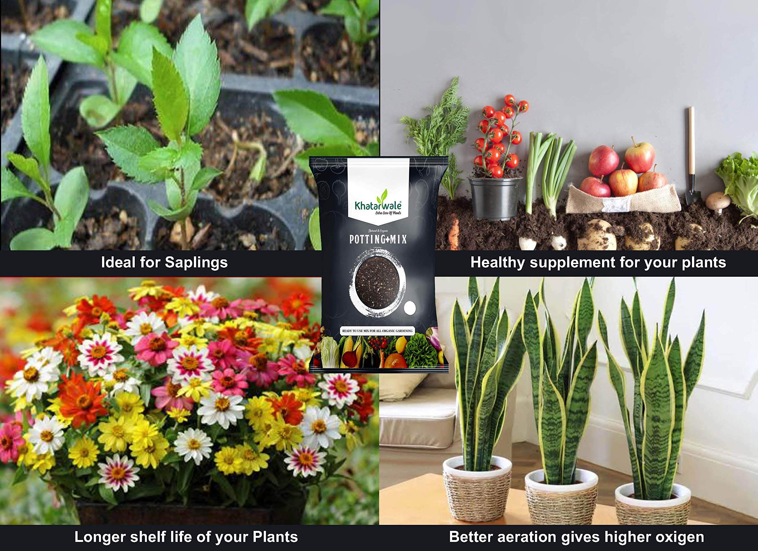 Khatarwale Organic Potting Soil Mix Fertilizer (1kg) Enriched with