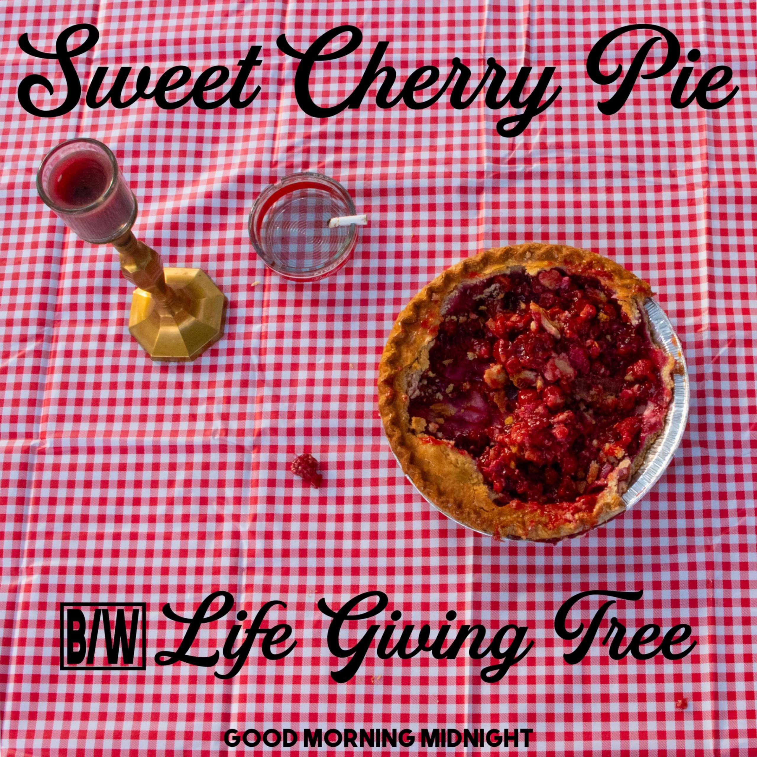 Good Morning Midnight