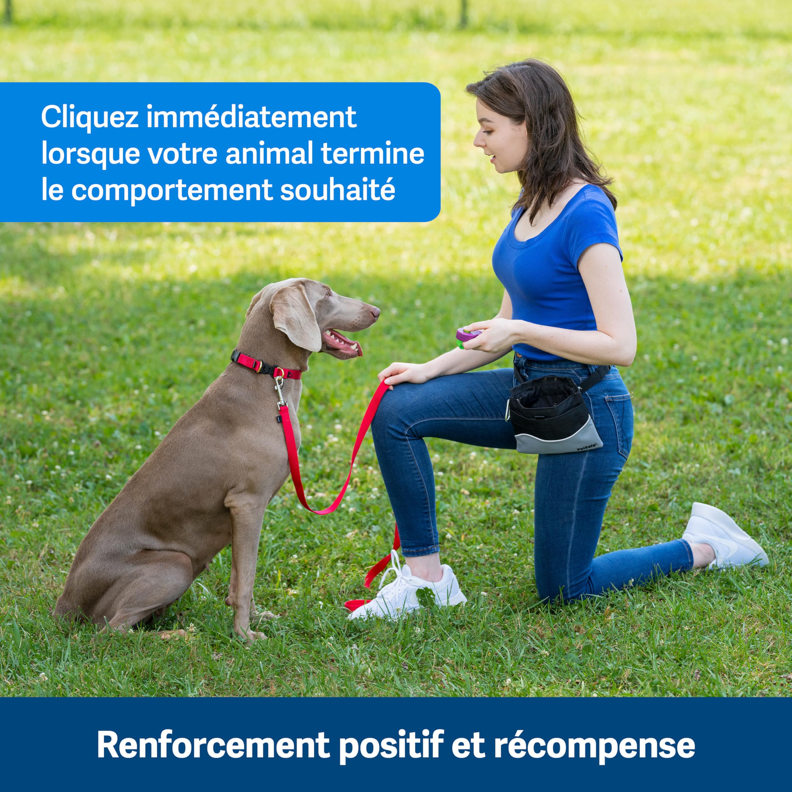PetSafe Clik-R Clicker d'entraînement pour Chiens - Renforce Le comportement Positif - Utilisation pour récompenser et entraîner