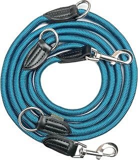 Leisegrün Verstellbare Hundeleine 3m - Robuste Nylon Doppelleine für mittelgroße bis große Hunde, 200kg Zugkraft, 2 Karabiner - Petrol