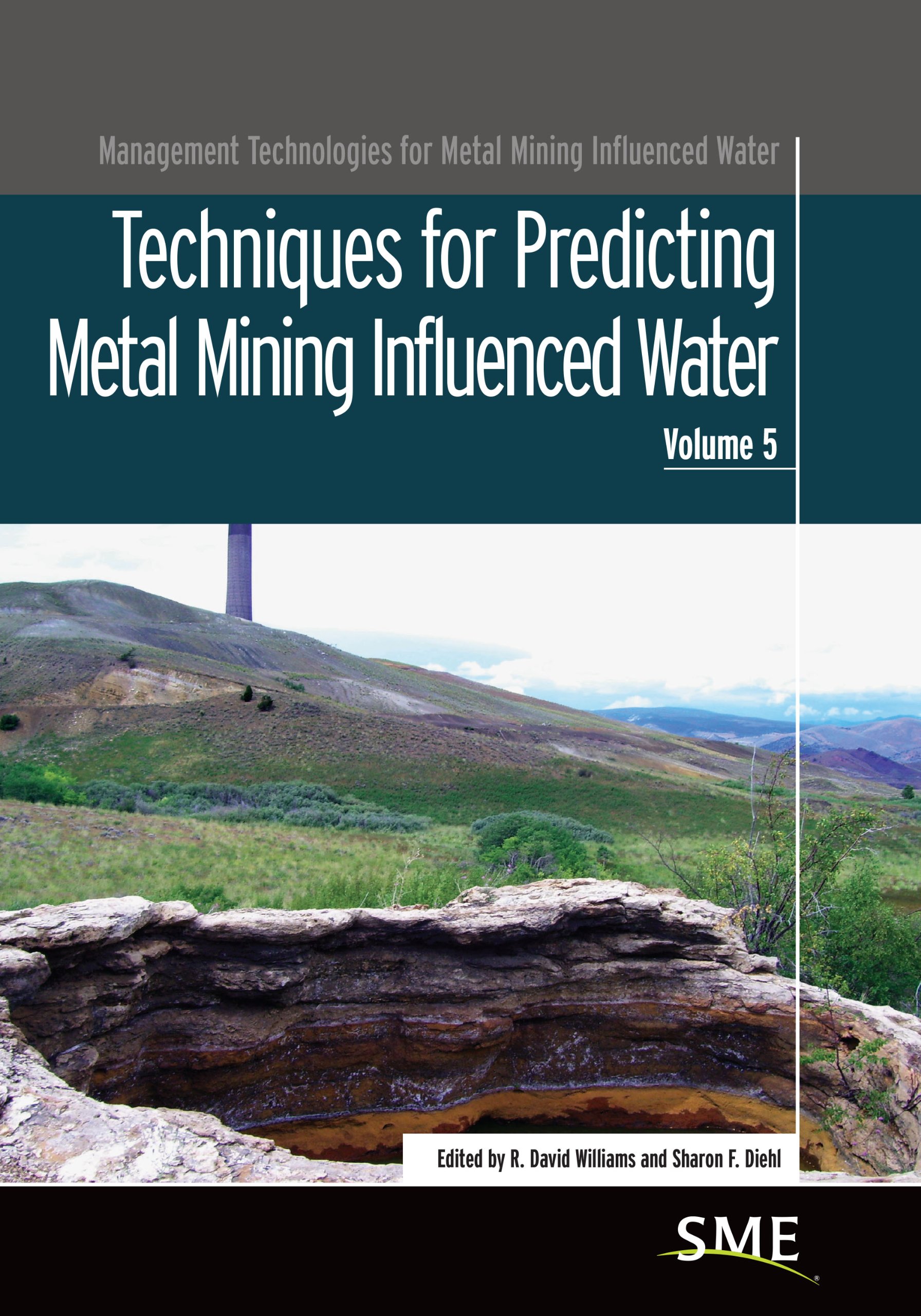 Buy Techniques for Predicting Metal Mining Influenced Water (Management Technologies for Metal Mining Influenced Water) — BookShops.in