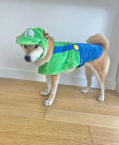 Miniatura 7 de ComfyCamper Disfraz de perro con sombrero y tirantes  Disfraz de Halloween de estrella de laboratorio para cosplay, talla XL, amarillo