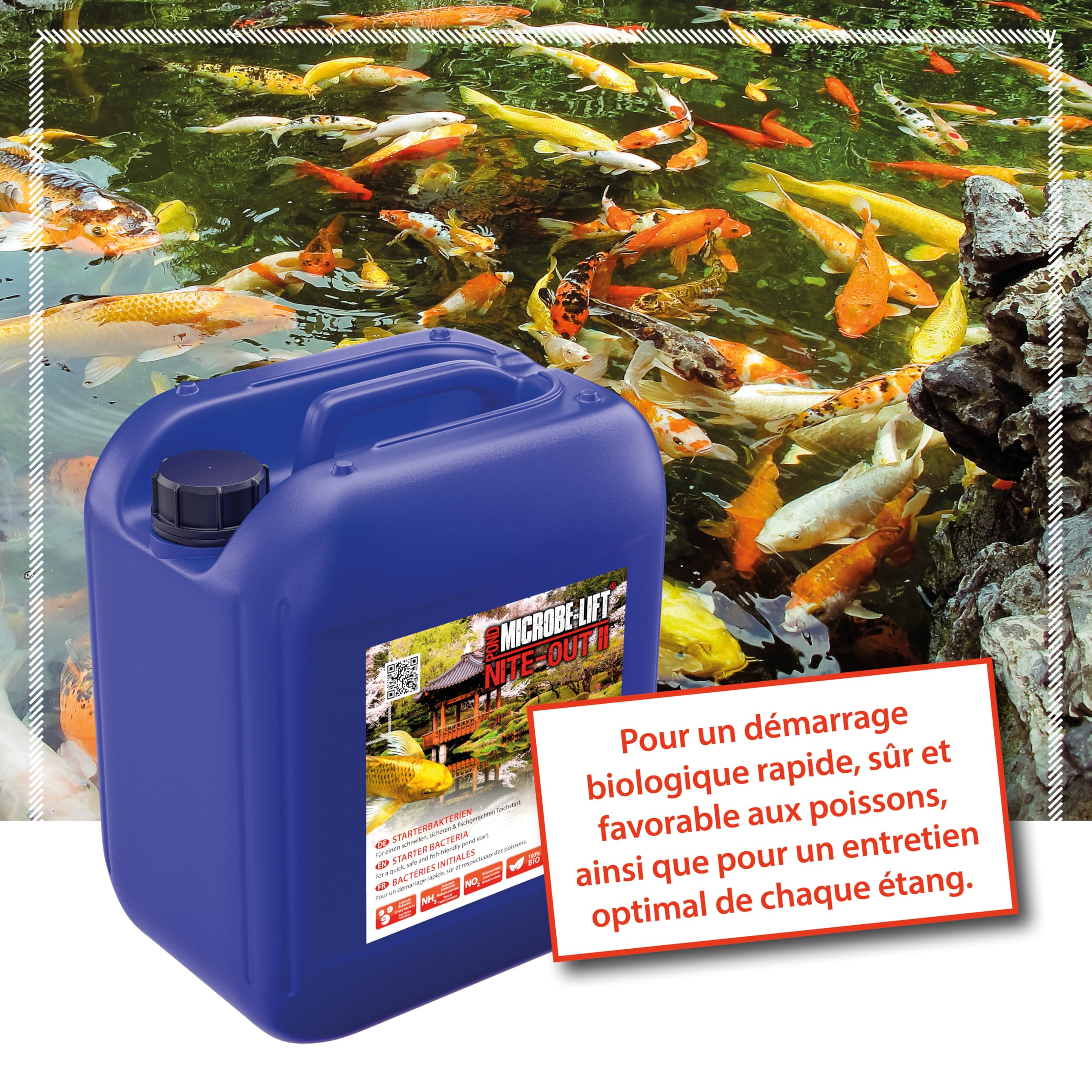 Bactéries de Démarrage pour Bassin 5000 ML - Nite-Out II Mise en Eau | contre turbidité et nitrites, paramètres instables, après traitement ou redémarrage, bassin de jardin, bassin à koïs