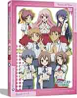 Amazon.co.jp: バカとテストと召喚獣 第6巻 [DVD] : 下野紘