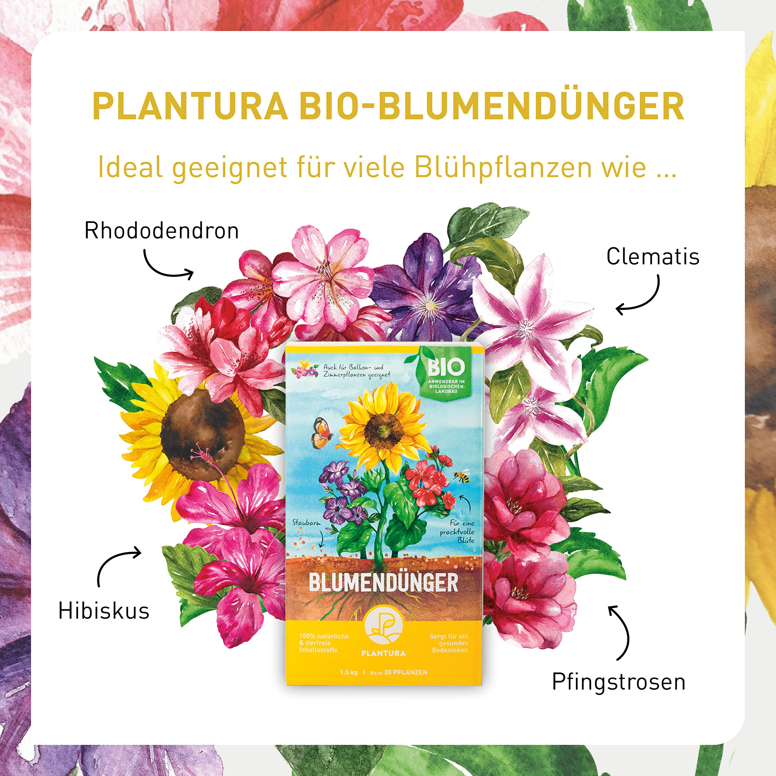 pfingstrose mit kaffeesatz dngen Purgrn Pfingstrosen-Dnger 1 Liter