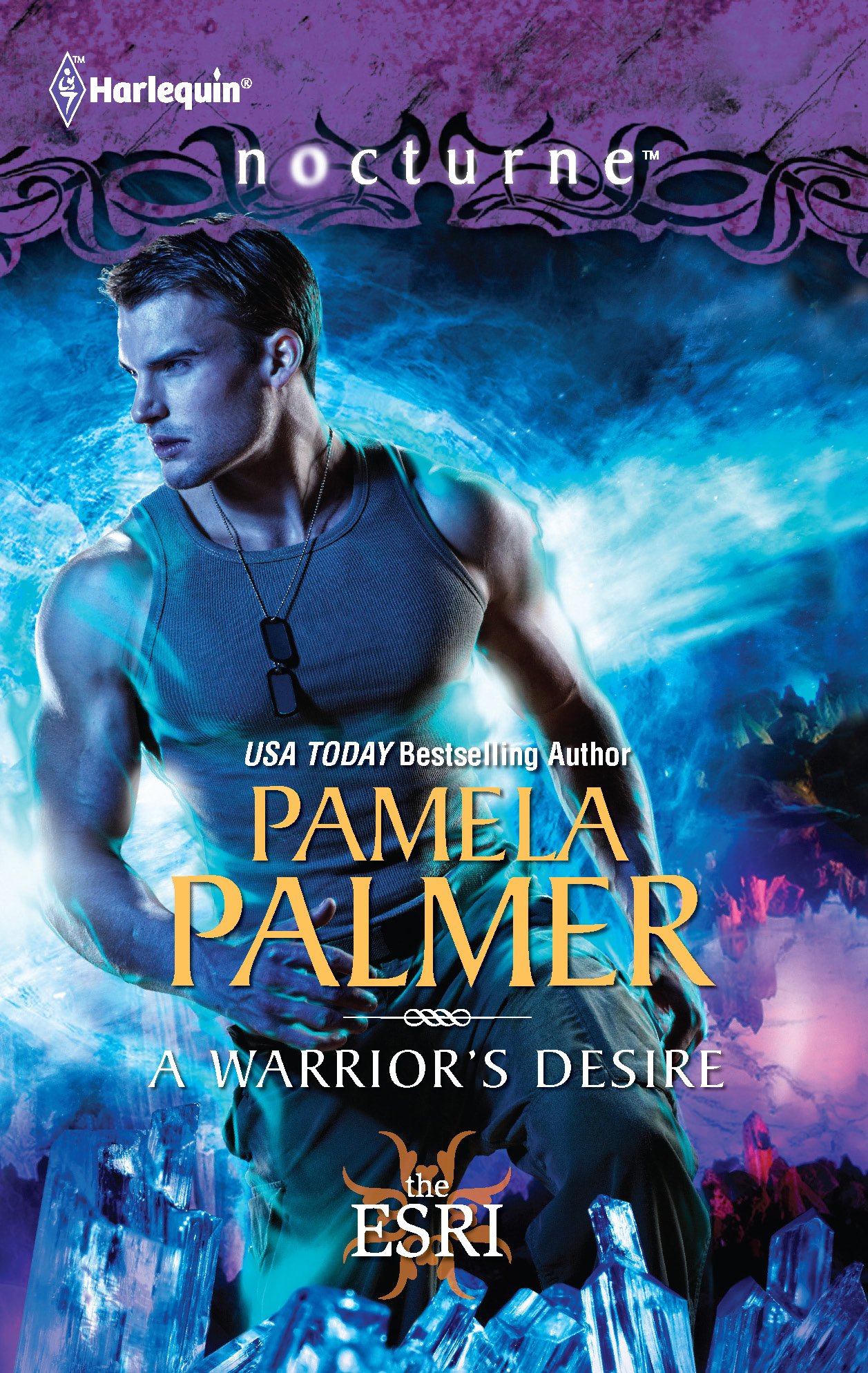 Cover of A Warrior's Desire