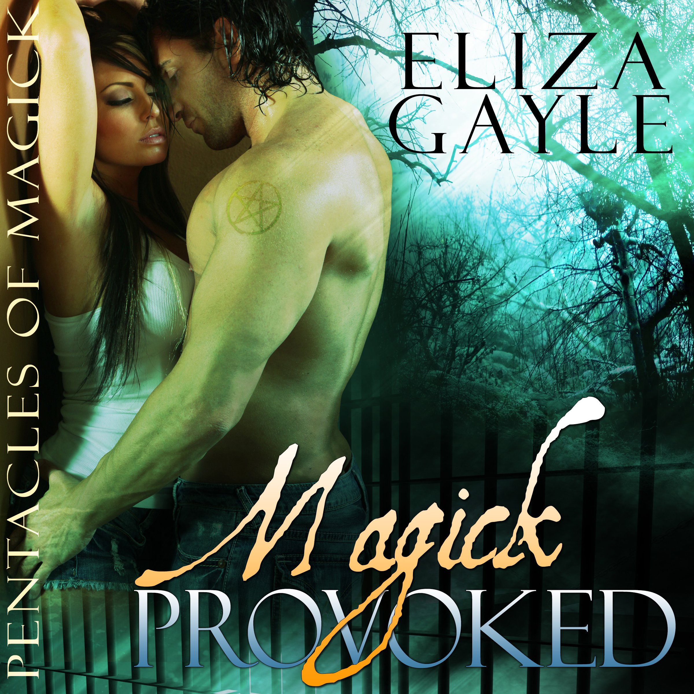 Cover art for Magick Provoked