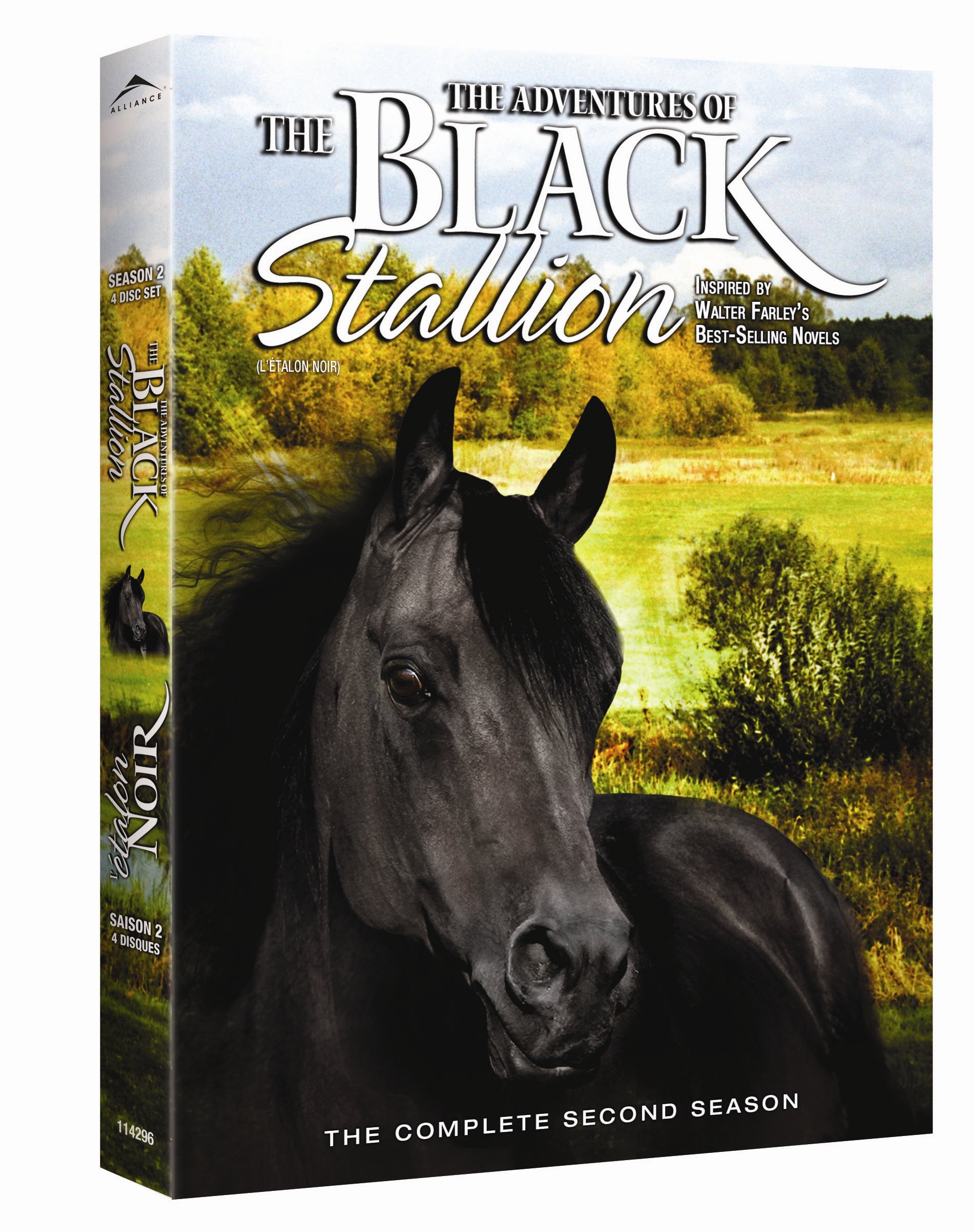 The Adventures Of The Black Stallion: The Complete Second Season [DVD]
