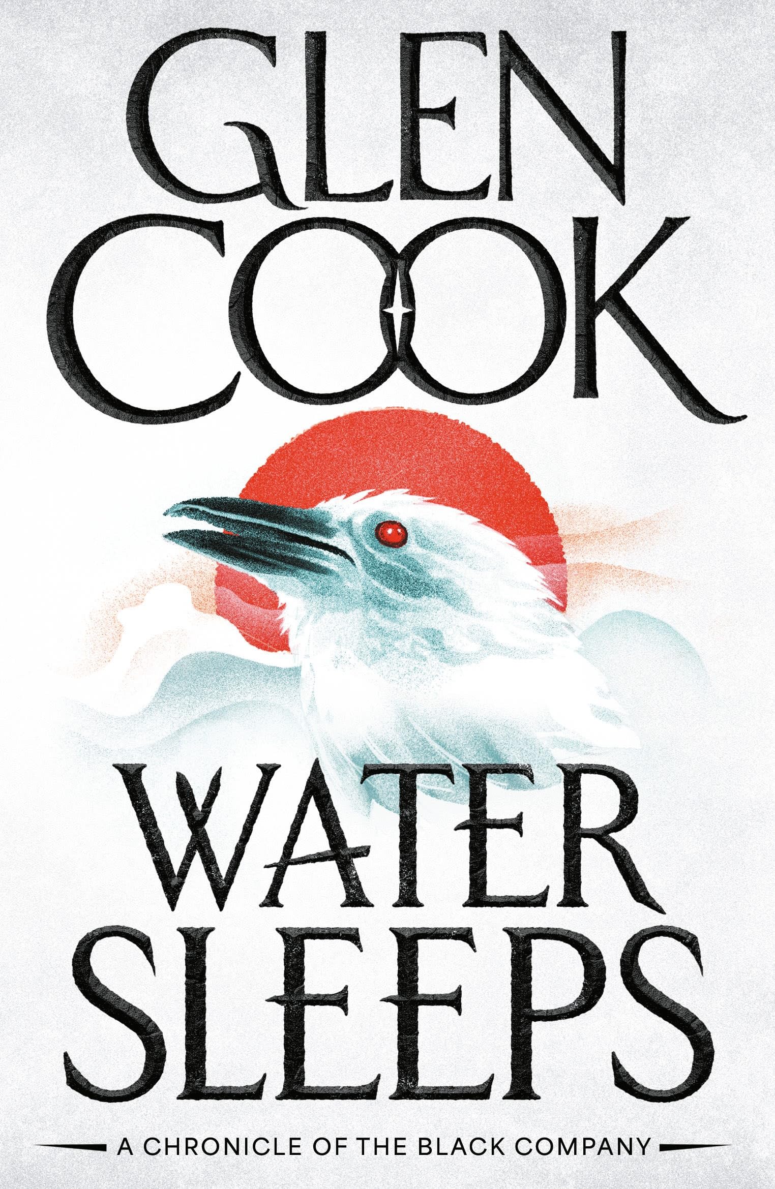 Water Sleeps by Glen Cook (Paperback Book)