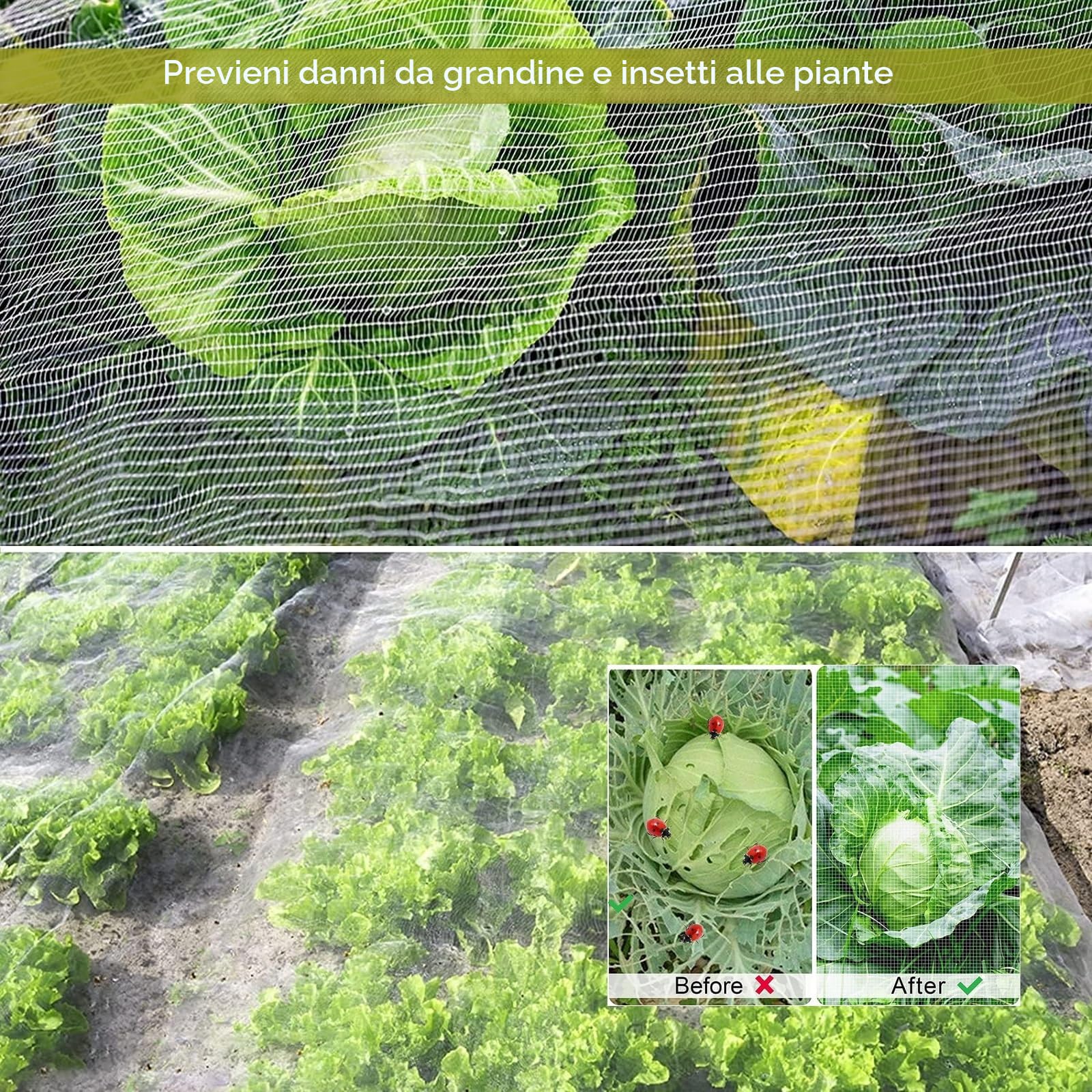 Rete Antigrandine, Telo Antigrandine per Orto Forte e Non Facile da Strappare per Proteggere Frutta Verdura e Piante(6x6m)