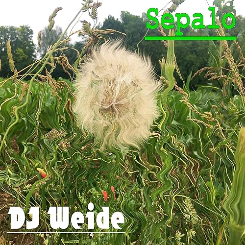 Sepalo By Dj Weide On Amazon Music Amazon Com