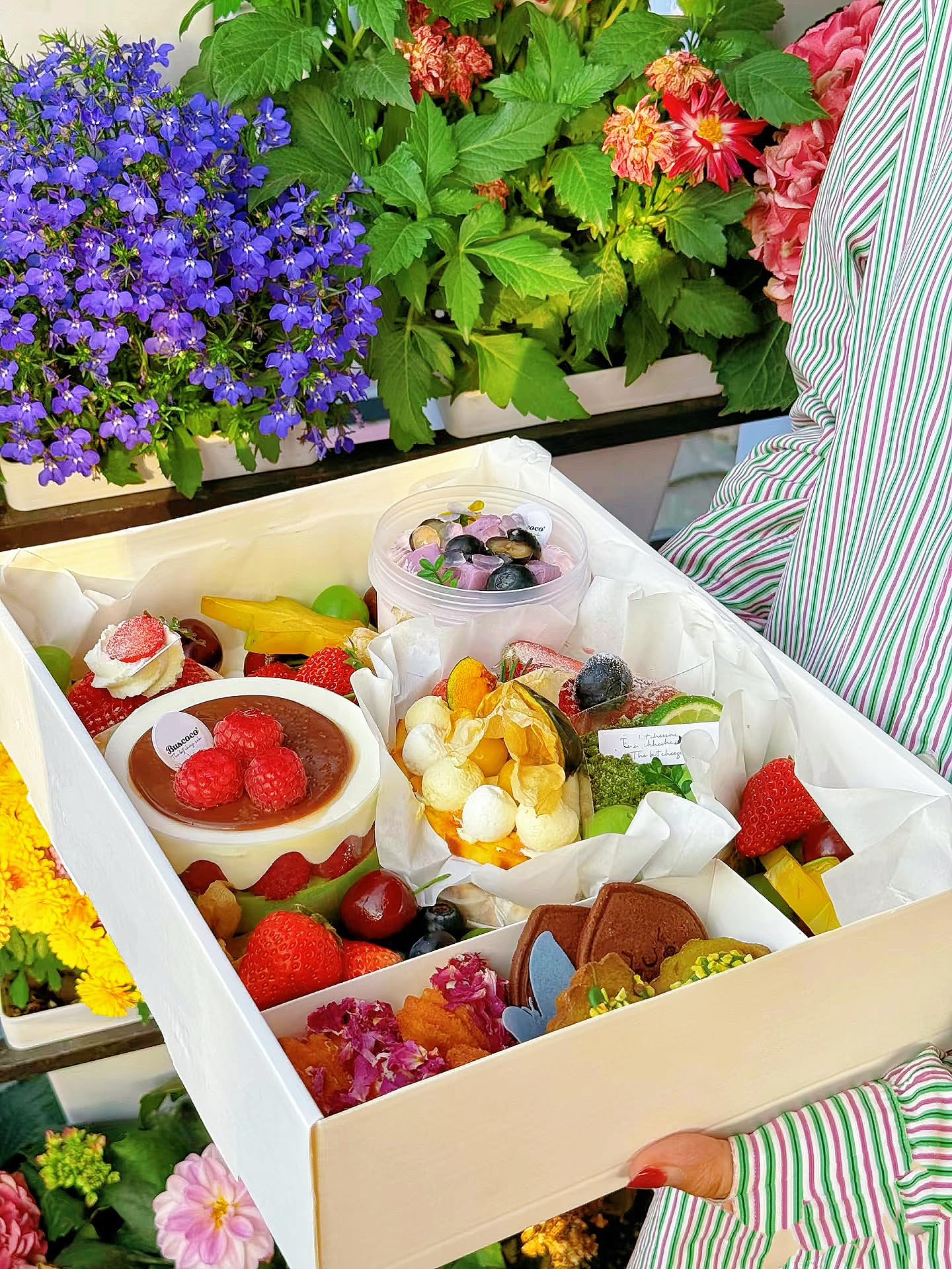 Caja de picnic de 8 compartimentos con tapas, 10 unidades, caja de cartón dividido blanco con soporte para ketchup, caja de aperitivos desechable para 4 a 5 personas, comida para llevar, 12.5 x 9 x 2