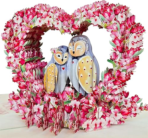 22 CRAFT Tarjetas desplegables de pareja de búhos, tarjetas emergentes de San Valentín, tarjeta de felicitación
