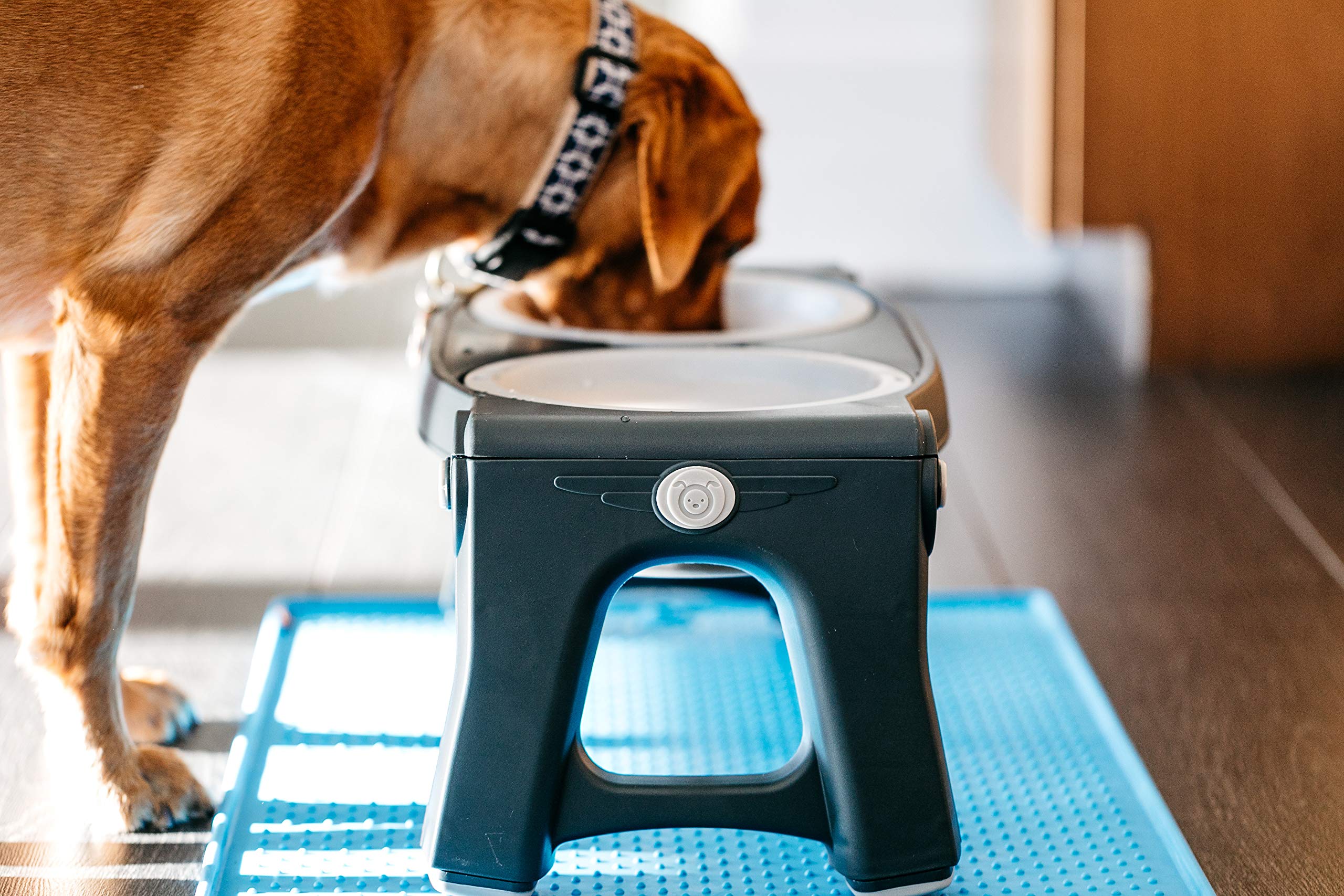 Dexas Pets Mangeoire Double réglable en Hauteur pour Animaux de Compagnie Gris Clair
