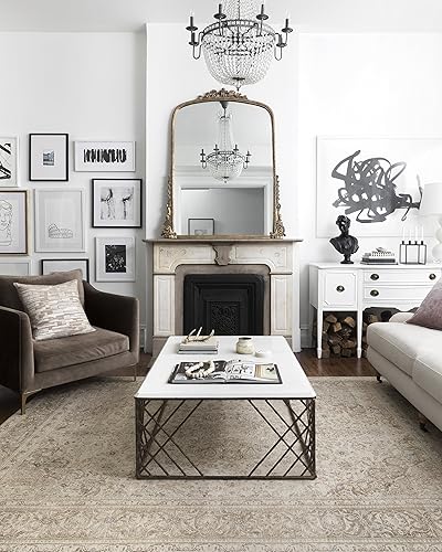 Miniatura 9 de Loloi II Loren Collection LQ-03 Alfombra tradicional de área, color arenagris pardo, de 8 pies 4 pulgadas x 11 pies 6 pulgadas (254 x 350.52 cm)