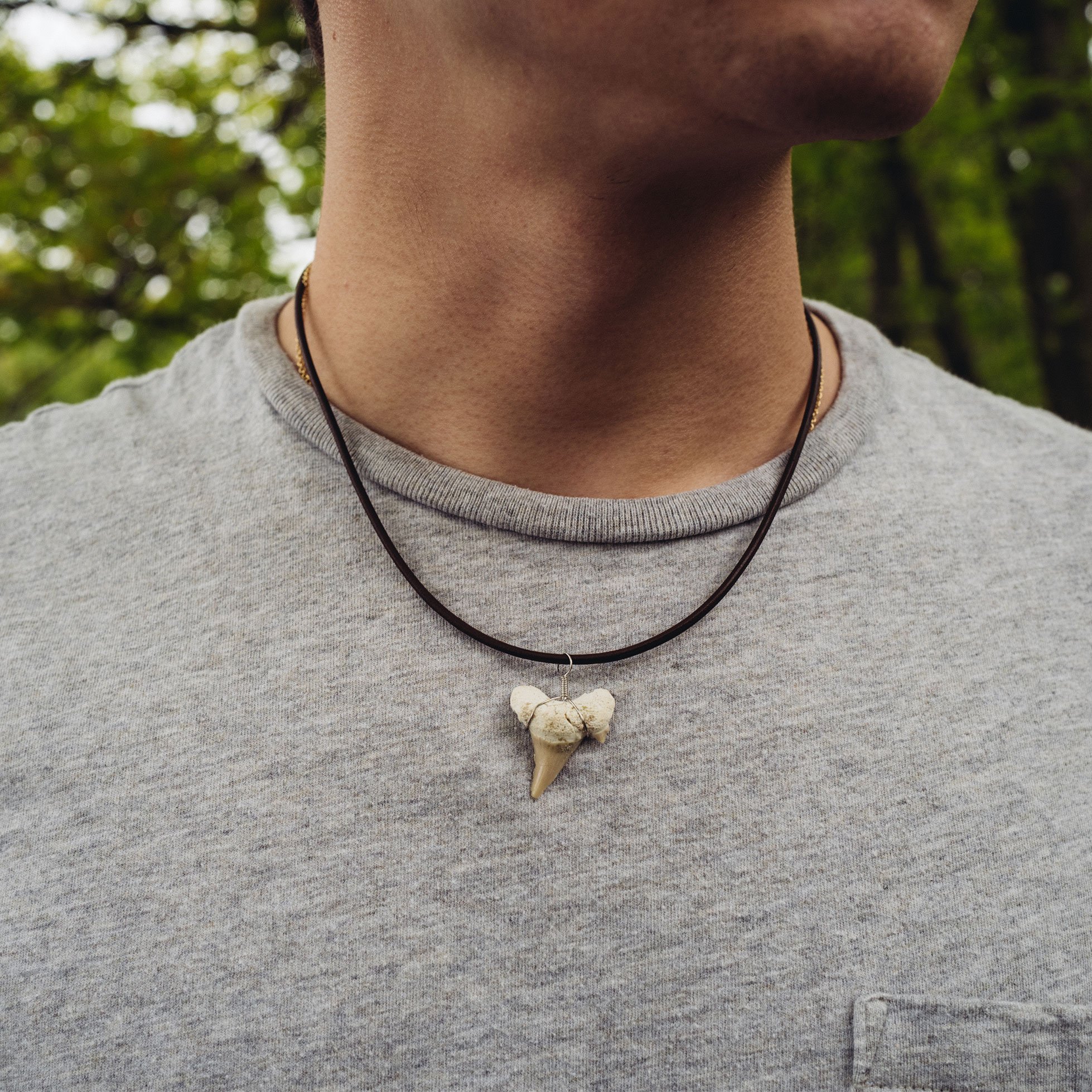 FROG SAC Natural Shark Tooth Necklace 