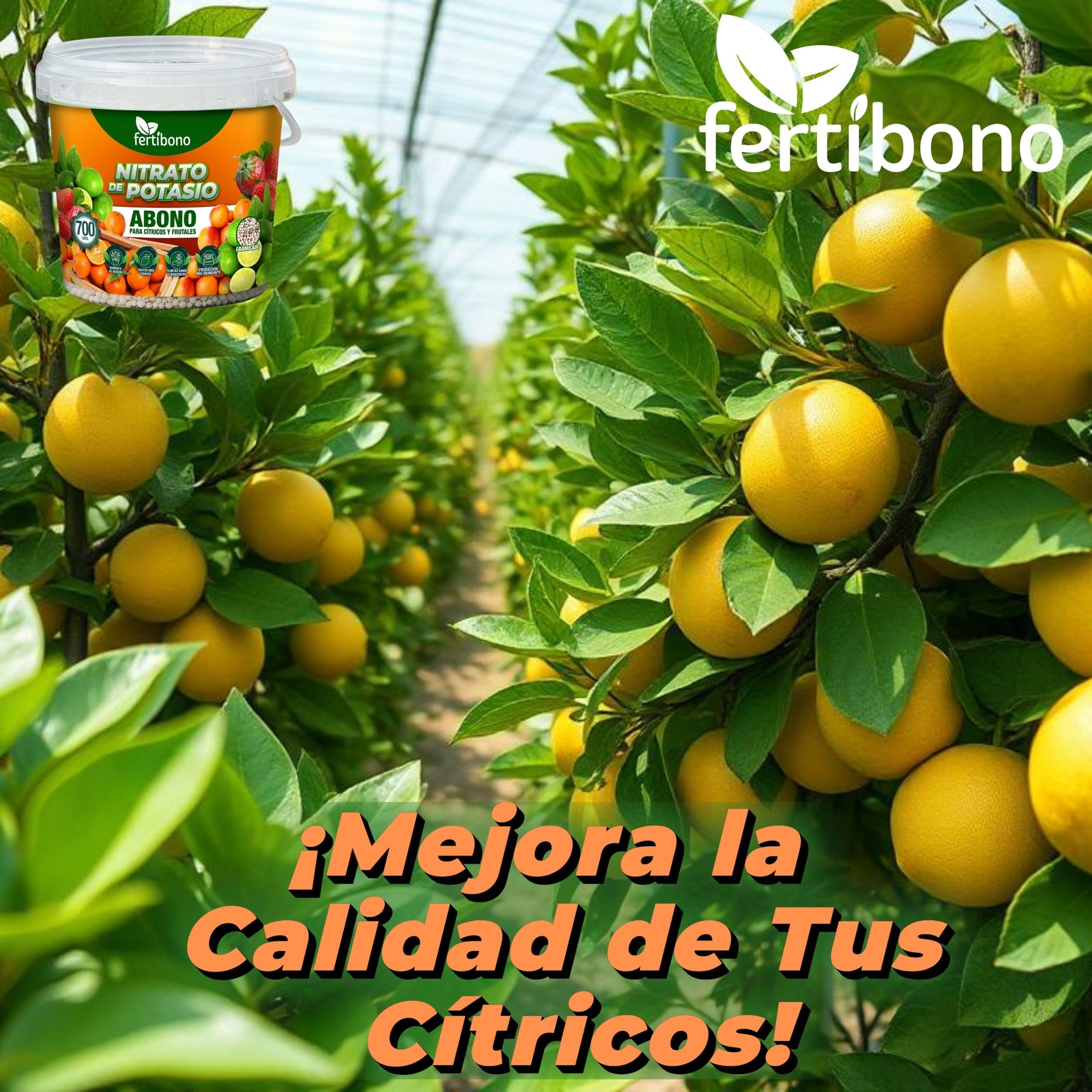 FERTIBONO Nitrato de potasio,Puro (KNO3) 13-00-46, Aumenta el Tamaño y la Calidad de la Fruta, los Azúcares y el Rendimiento de los Cítricos (700 Kg)