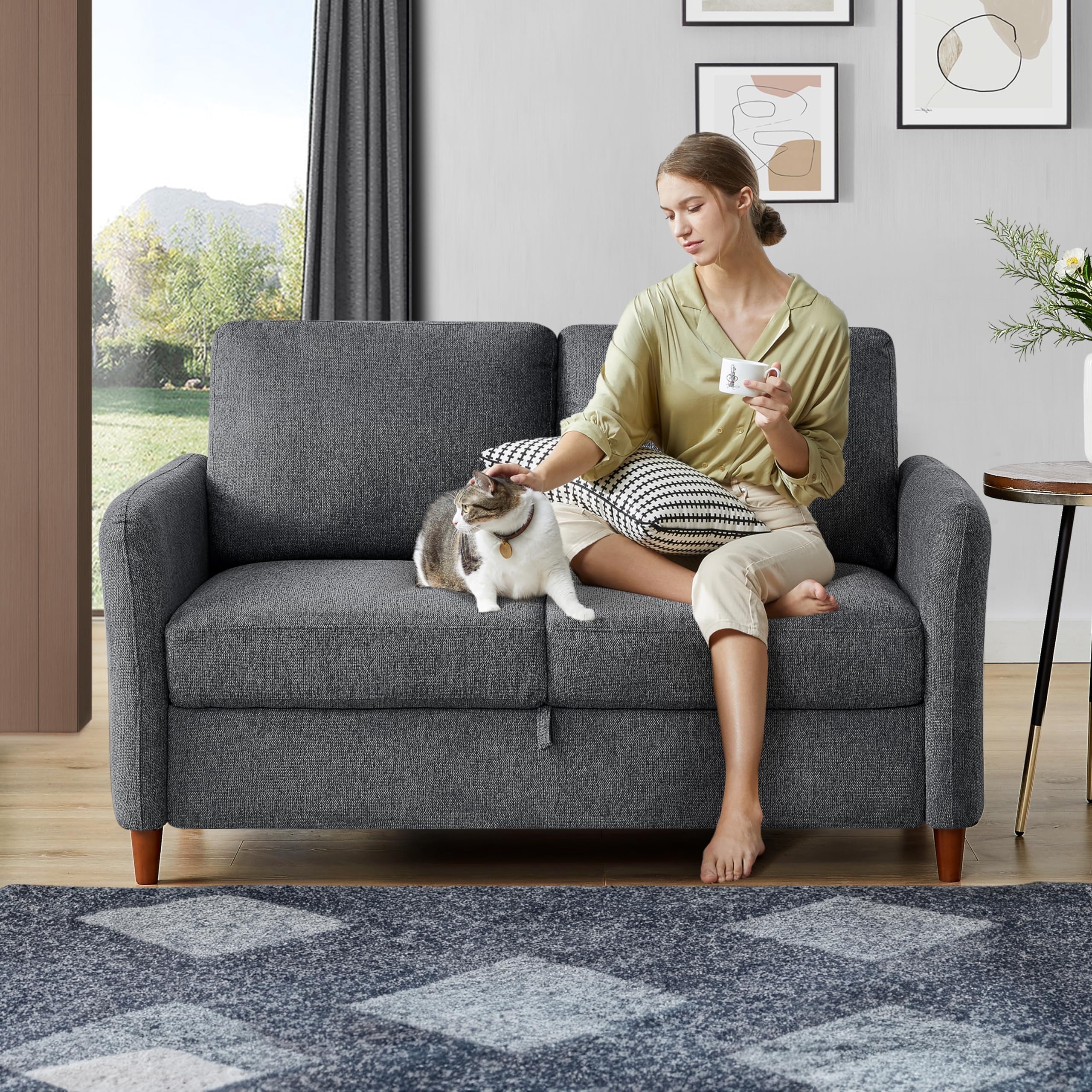 Queen Sleeper Sofa for Small Spaces with Storage: Maximize Your Living Room