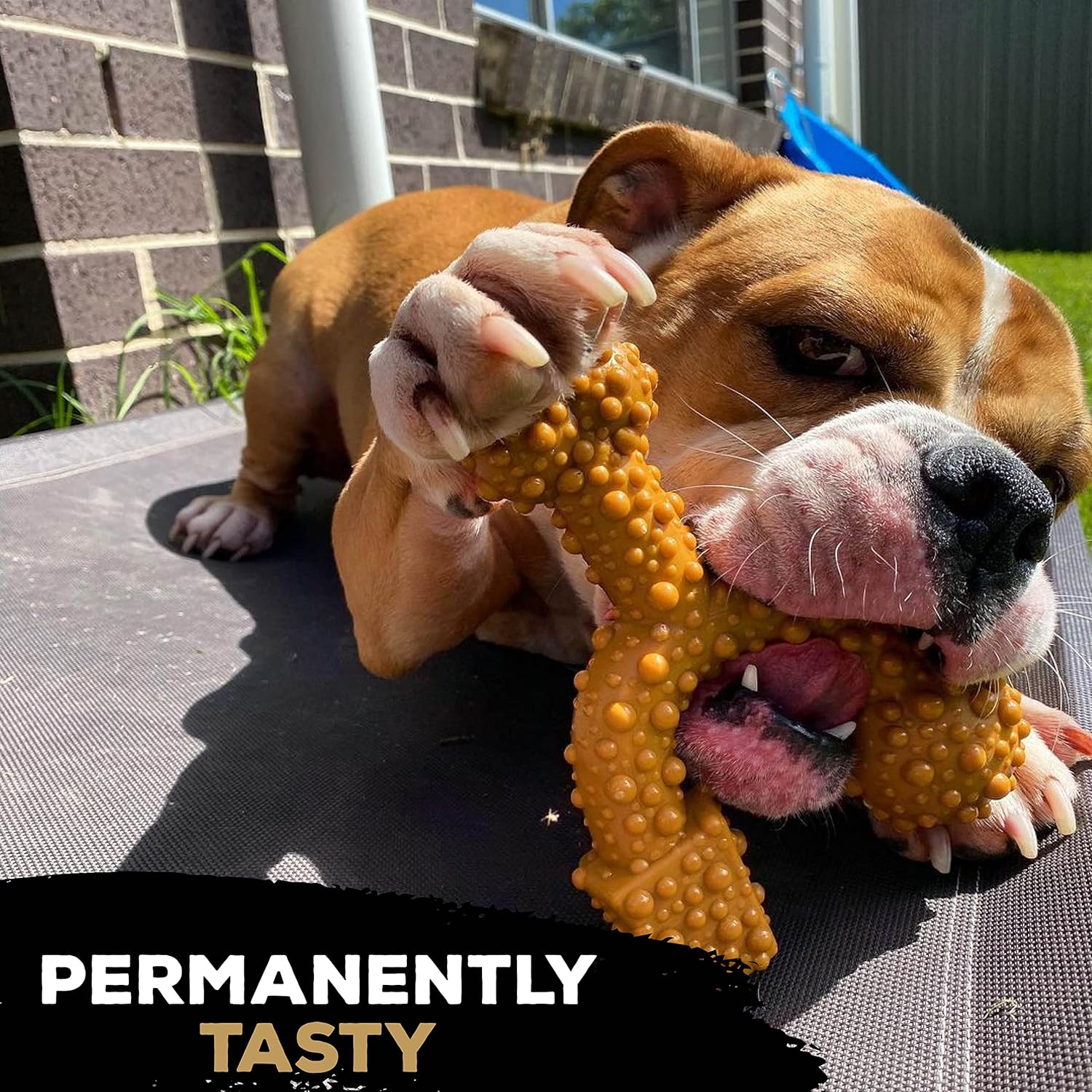 Tasty Bone TrioBone | Nylon Dog Chew for Large Dogs (Peanut Butter Flavoured) | Exceptionally Tough, Promotes Healthy Teeth & Gums | Triple The Fun | (Made in The UK from 100% Virgin Nylon)