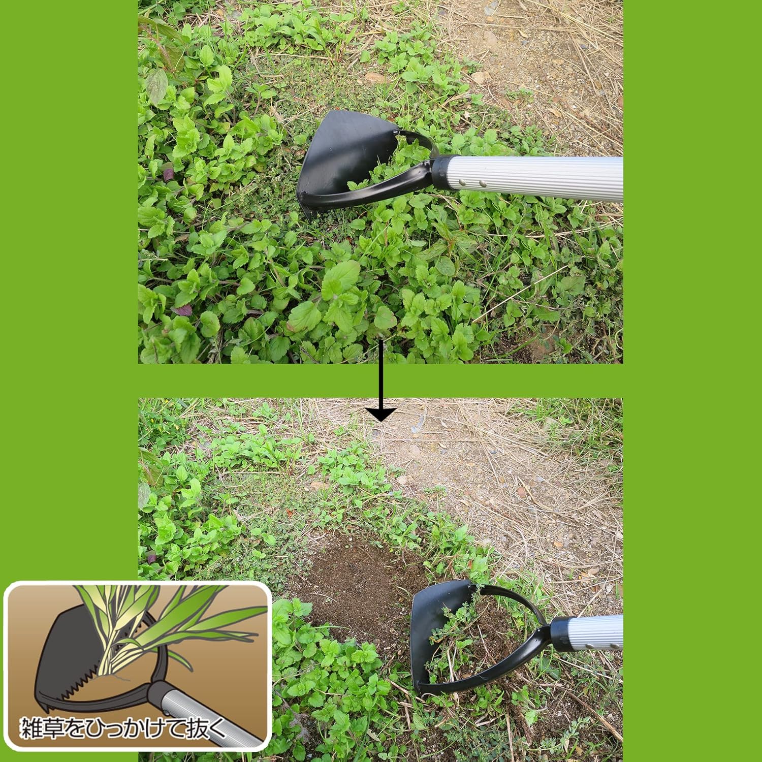 大進 伸縮式 雑草削る君 1号 草削り 立ったまま 草むしり用品 雑草 処理 草かり 草むしり 草取り 庭 庭園 園芸 自宅 公園 園芸用具 雑草削るくん コンパクト 軽量 軽い お手軽 女性 安全 駐車場 草 くさ