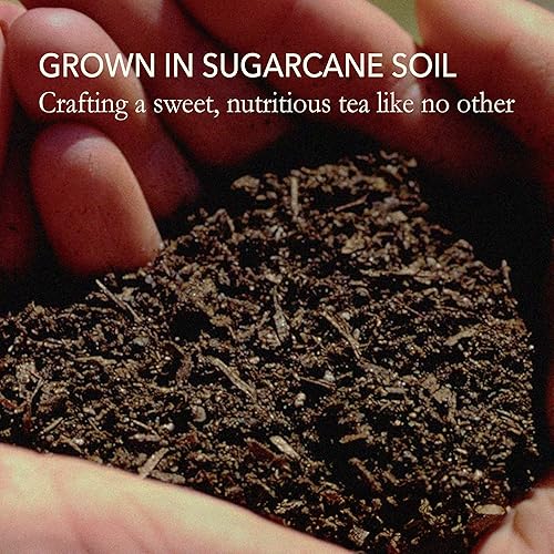 Miniatura 7 de Gyokuro - Té verde japonés de hojas sueltas de 0.3 onzas (0.35oz)  Té de hojas sueltas de alta cafeína natural y vegano  Té verde rico en