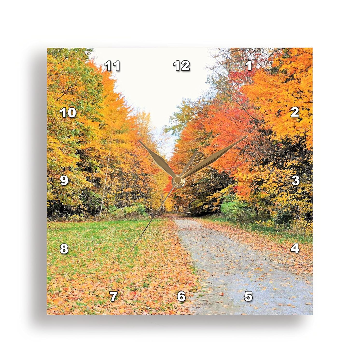 3dRose Wall Clock Silent - 13 inch - Country Road with a Burst of Fall Colors - Scenery
