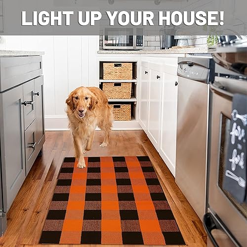 Miniatura 3 de IOHOUZE Tapete de algodón a cuadros para exteriores, 27.5 x 43 pulgadas, lavable para interiores y exteriores, tapete de bienvenida para puerta