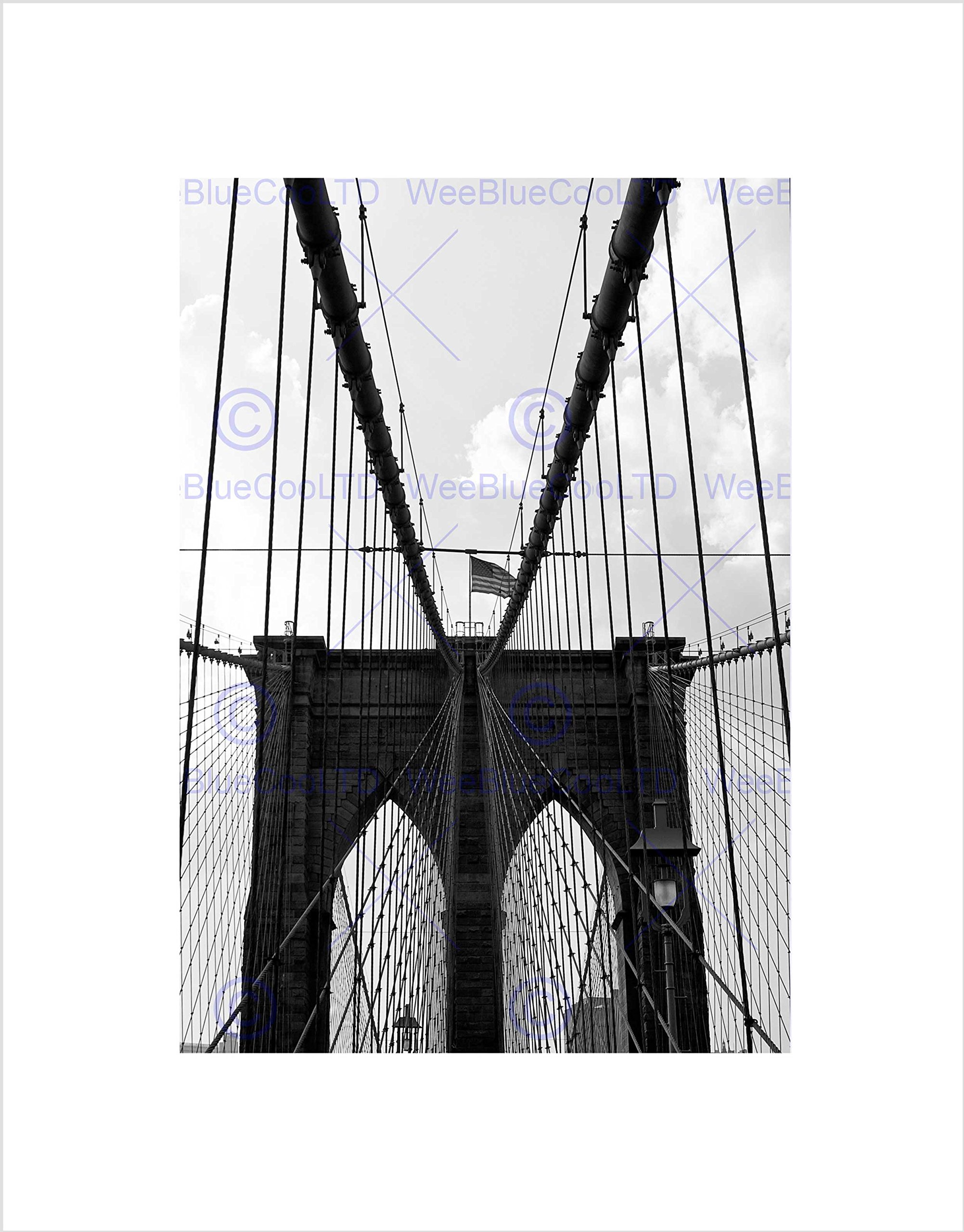 Wee Blue Coo Brooklyn Bridge Gates Nyc USA New York Picture Wall Art Print