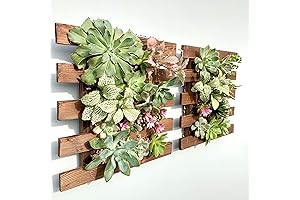 ShopLaLa Wall Planter - A Touch of Greenery for Your Walls