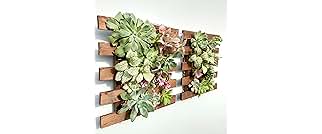 ShopLaLa Wall Planter - 2 Pack Wooden Hanging Succulent Wall Decor, Live Air Plants Orchids Wall Mounted Holder Frame Display for Indoor Outdoor, Living Plant Wall Decor Balcony Garden
ShopLaLa Wall Planter - 2 Pack Wooden Hanging Succulent Wall Decor, Live Air Plants Orchids Wall Mounte…