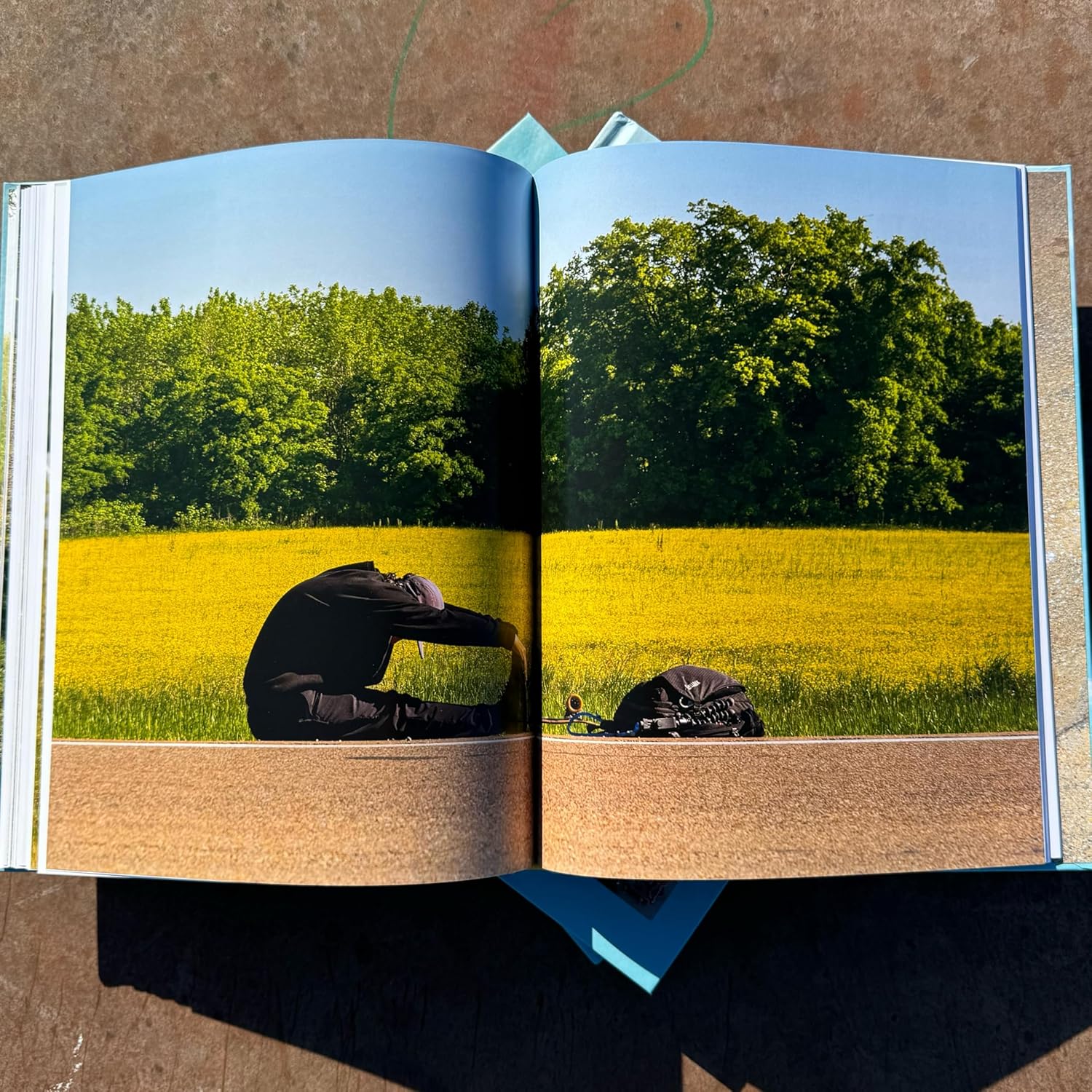 Pushing Through America      Hardcover – November 19, 2024