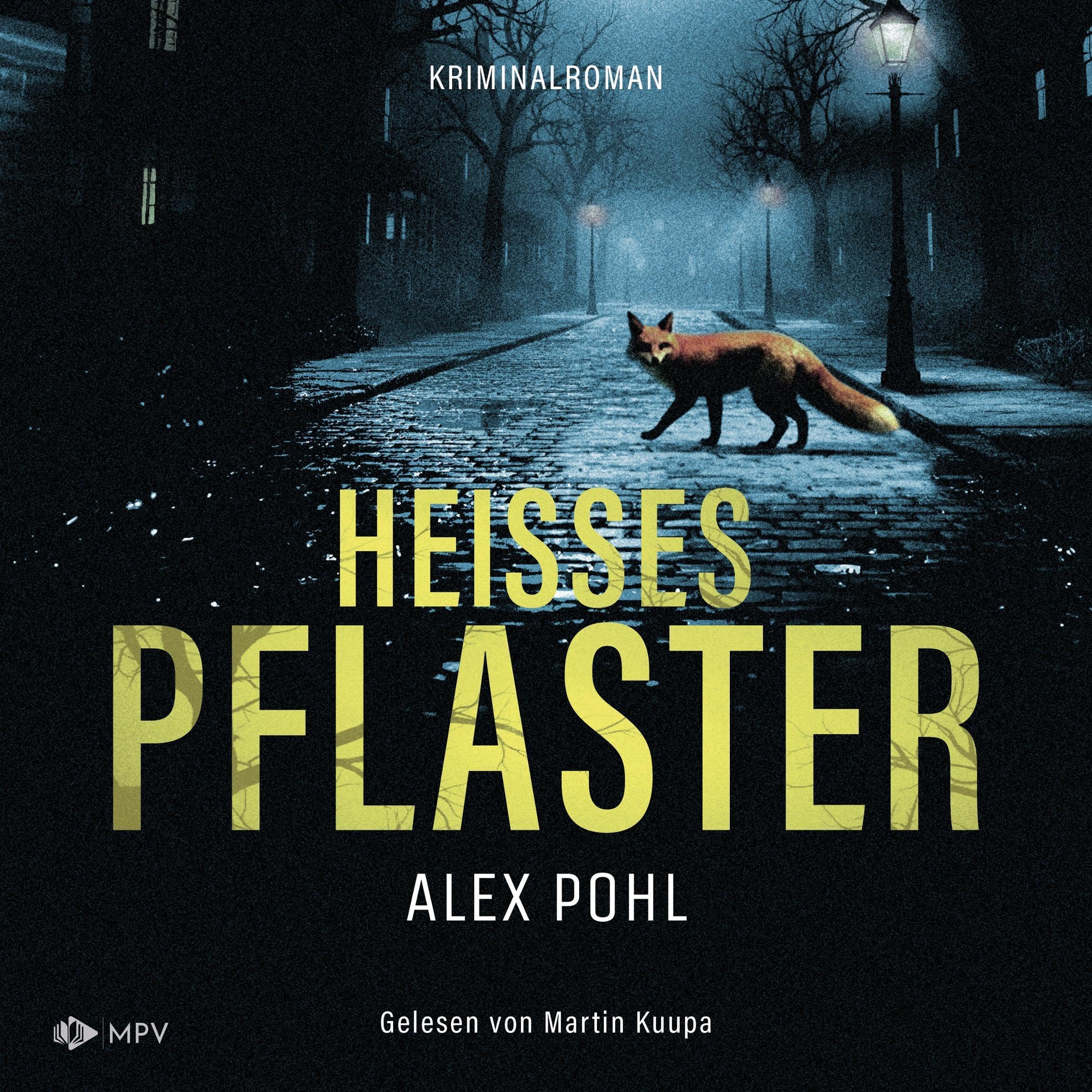 Cover art for Heisses Pflaster