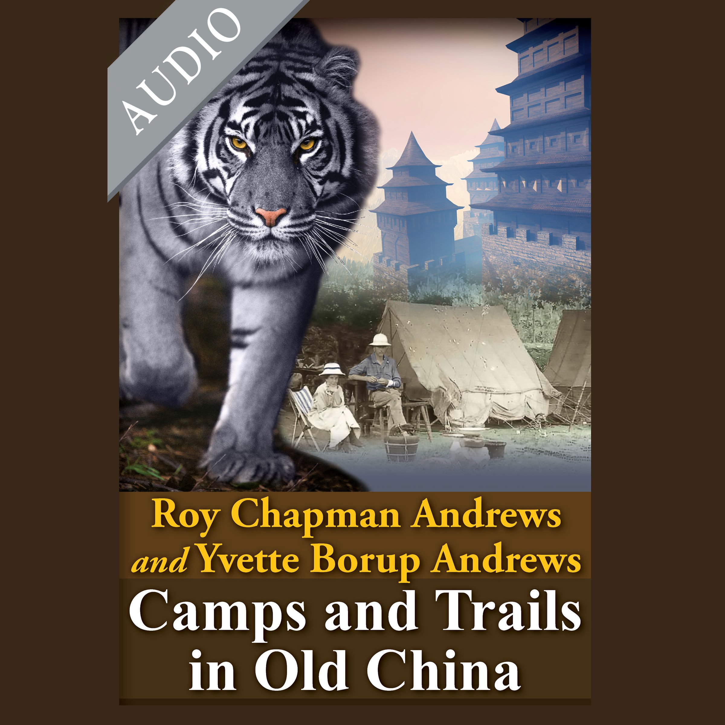 Cover art for Camps and Trails in Old China