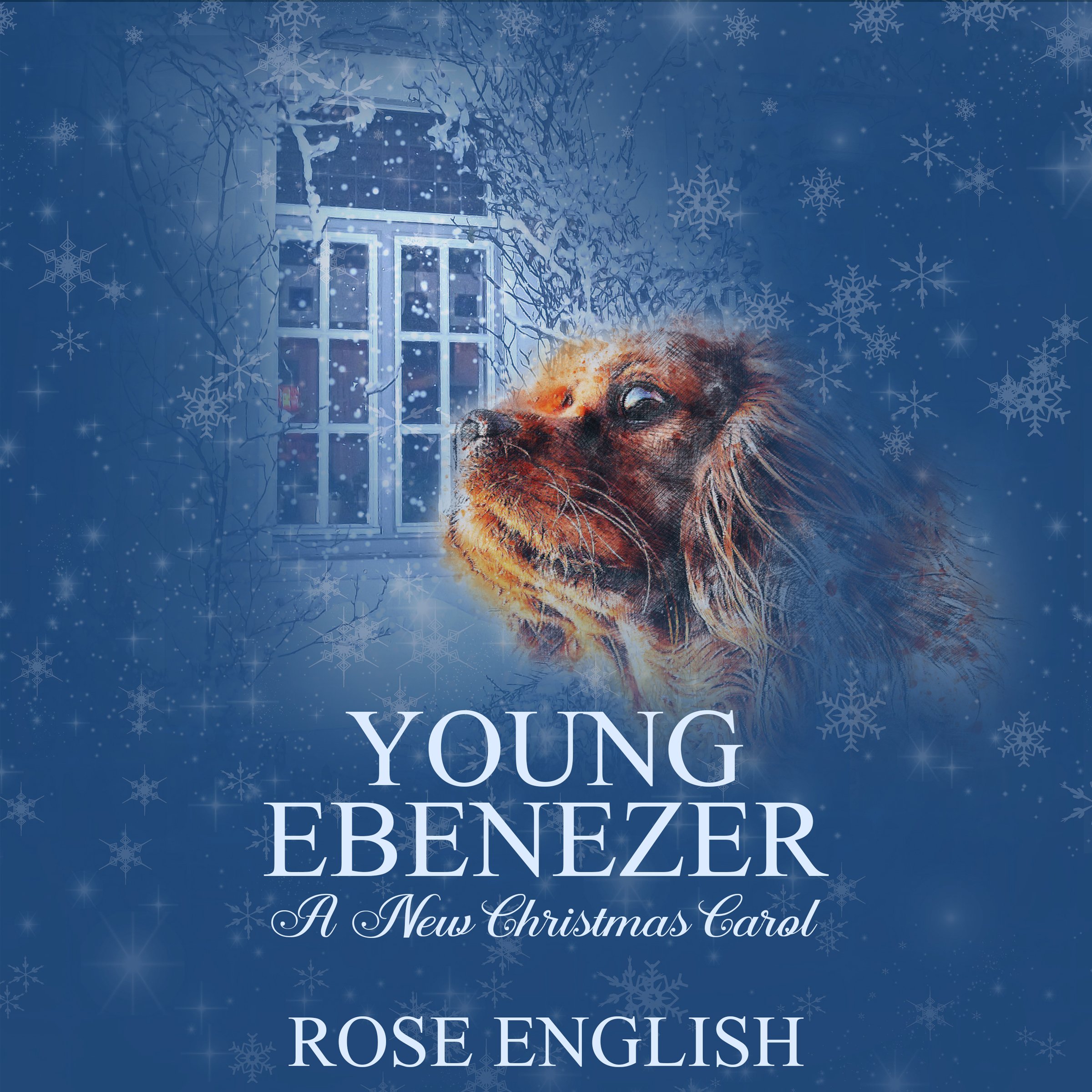 Cover art for Young Ebenezer: A New Christmas Carol