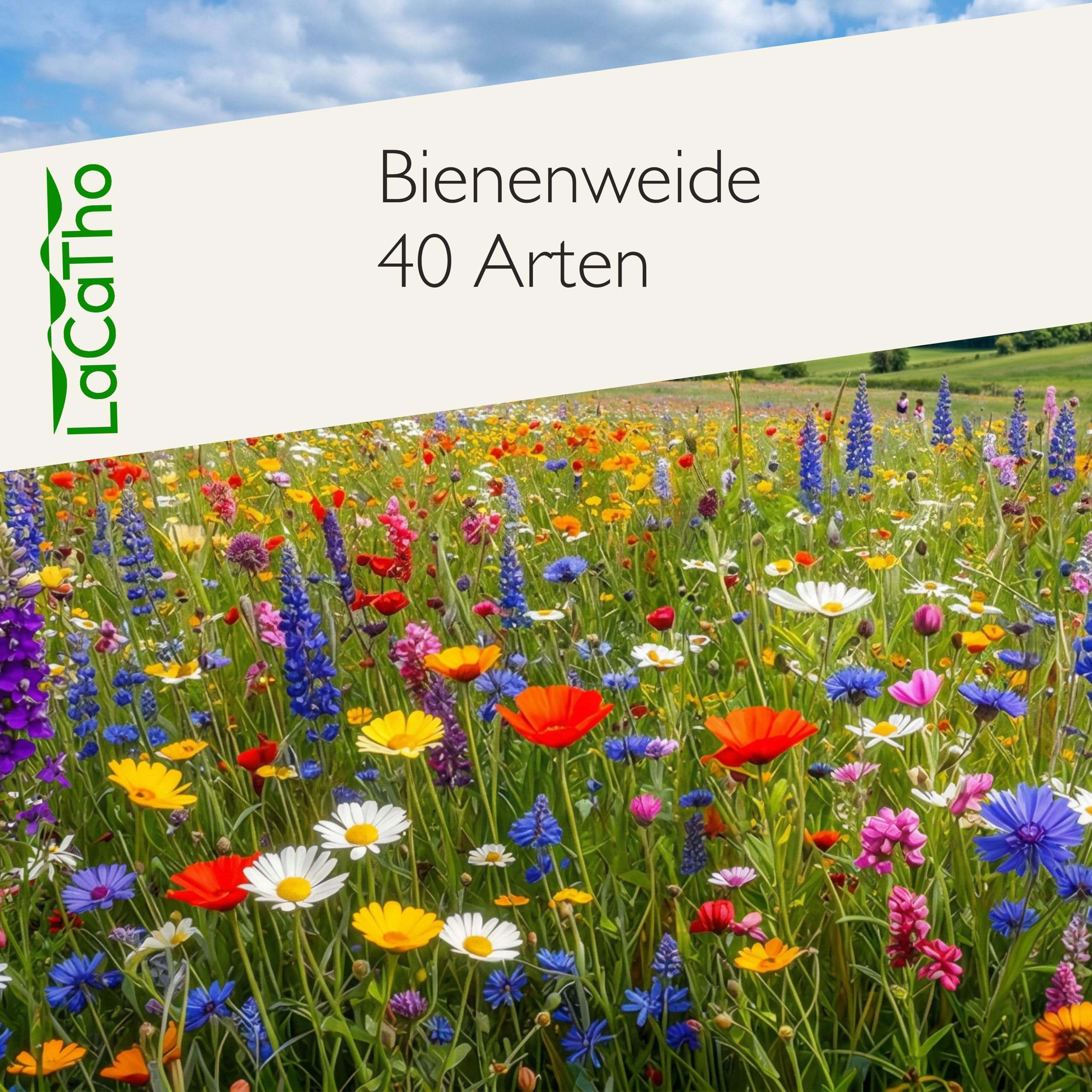 mehrjährige Bienenweide für heimische Insekten & Bienen, 5 jährige winterharte Mischung für den bienenfreundlichen Garten, Blumenwiese säen (80 m2)