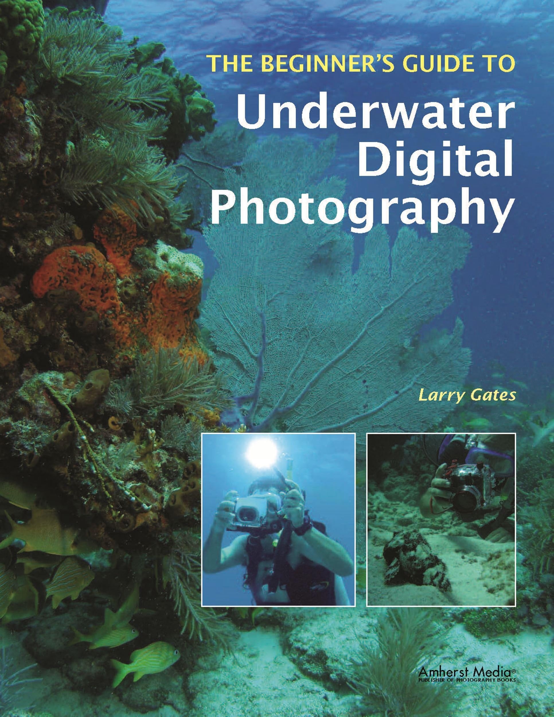 The Beginner's Guide to Underwater Digital Photography
