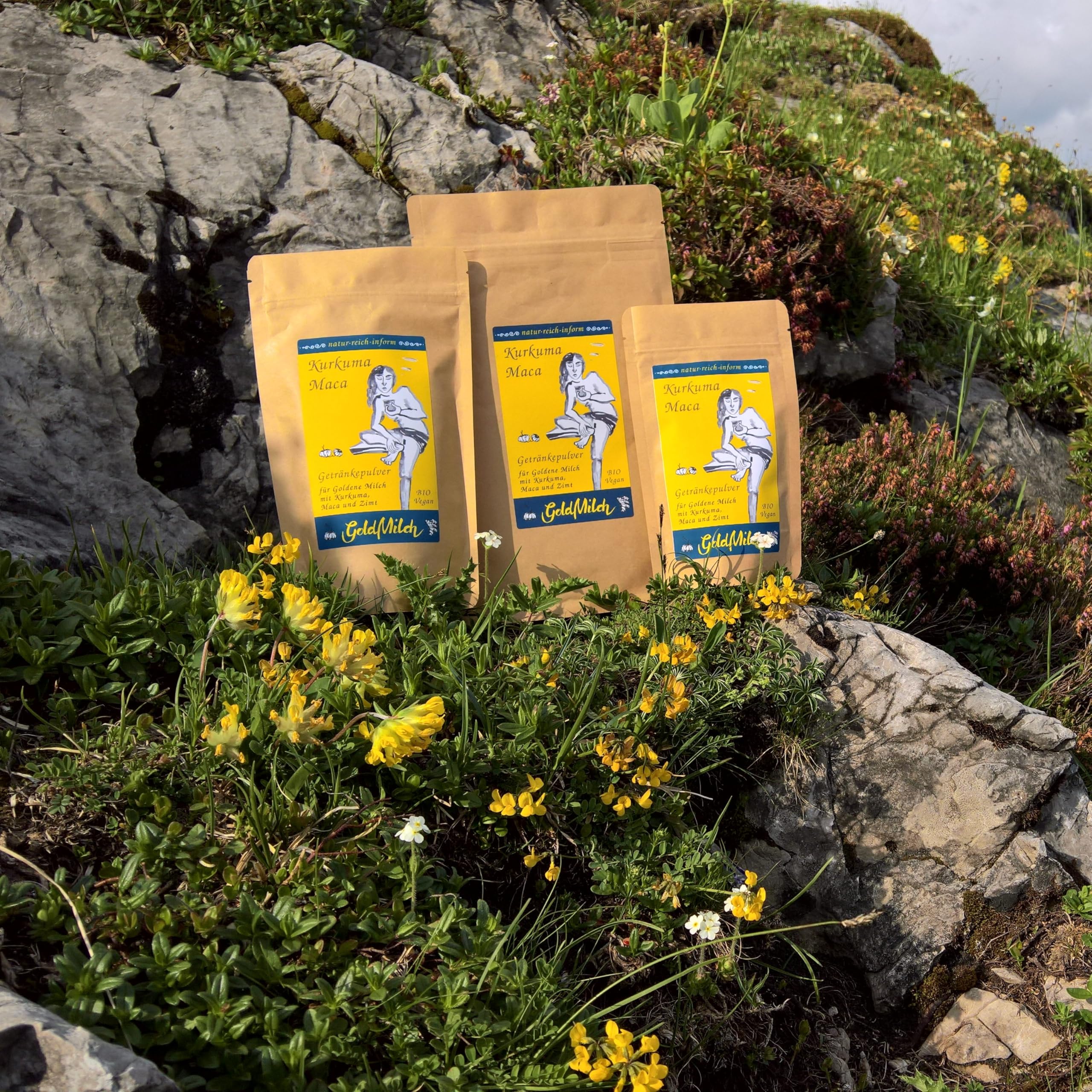 GoldMilch mit Kurkuma, Maca & Carob – Getränkepulver für Goldene Milch | Frei nach ayurvedischer Tradition | gesüßt mit Kokosblütenzucker | 750g = 75 Tassen | Bio, Vegan & Fair | Sächsische Manufaktur