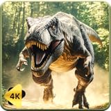 Rencontres authentiques avec des T-Rex - Mouvements et comportements réalistes de dinosaures dans des environnements préhistoriques naturels Environnements de jungle dense - Forêts préhistoriques luxuriantes avec une vie végétale ancienne et des détails atmosphériques Paysages sonores préhistoriques - Audio authentique du monde antique avec des cris de dinosaures et des sons environnementaux Divertissement éducatif - Scènes préhistoriques précises qui inspirent l'apprentissage de la Terre ancienne Voyage dans le temps immersif - Expérience préhistorique complète qui transporte les spectateurs à l'ère jurassique