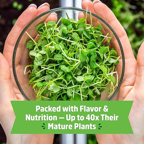 Miniatura 35 de Back to The Roots Heirloom Semillas orgánicas, sin OMG y cultivadas en Estados Unidos, 30 unidades, hierbas, frutas y verduras, el surtido puede