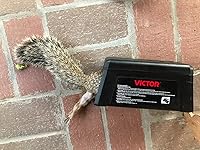 Review Image by Jessica Jessica